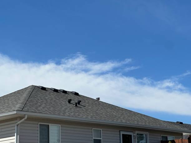 Best Cold Roofs  in Muskego, WI